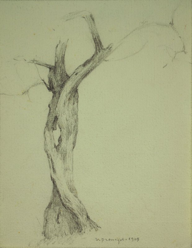 1909 - Albero